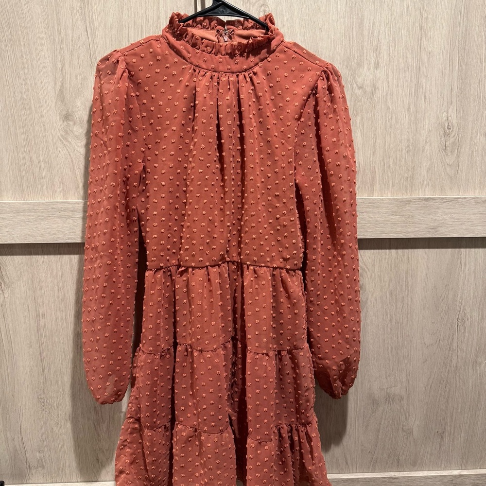Trixxi Burnt Orange Textured Dress